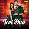 Teri Dua